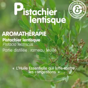 Pistachier lentisque avantages